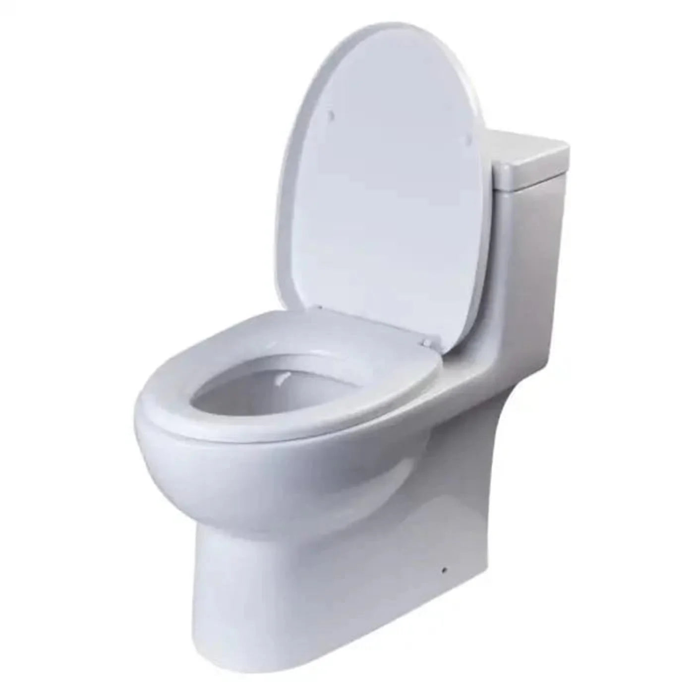 EAGO Dual Flush One Piece Eco-Friendly High Efficiency Low Flush Ceramic Toilet - TB359