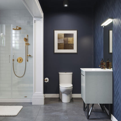 Swiss Madison Sublime One Piece Elongated Toilet Dual Flush, Brushed Gold Hardware 1.1/1.6 gpf - SM-1T205HG