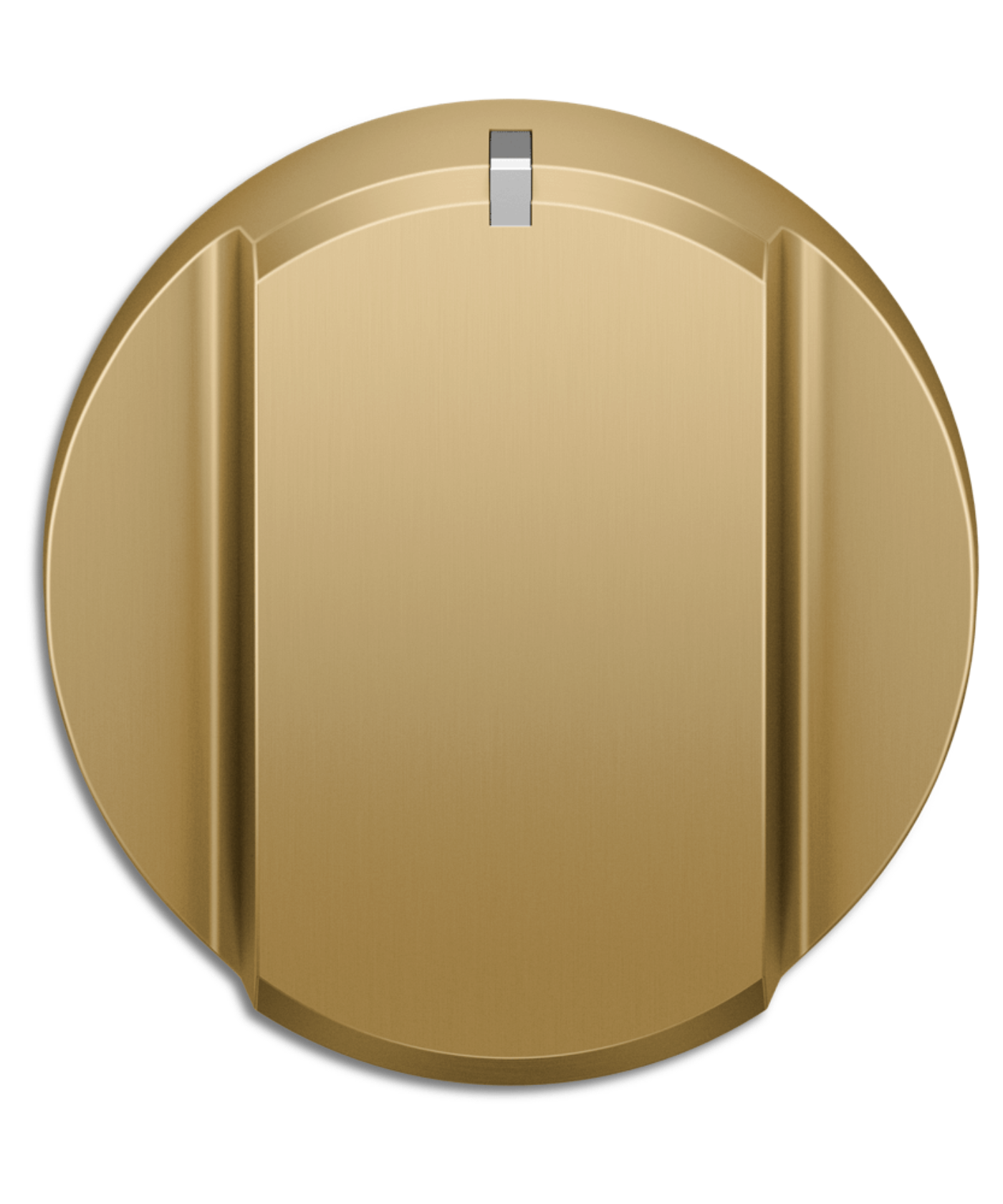 Fisher Paykel ProRange Dial Kit 48", Hybrid, Brass - Compatible with RHV3-484 Other - ADLP3RH484BA