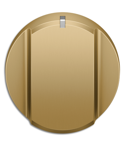 Fisher Paykel ProRange Dial Kit 48", Hybrid, Brass - Compatible with RHV3-484 Other - ADLP3RH484BA