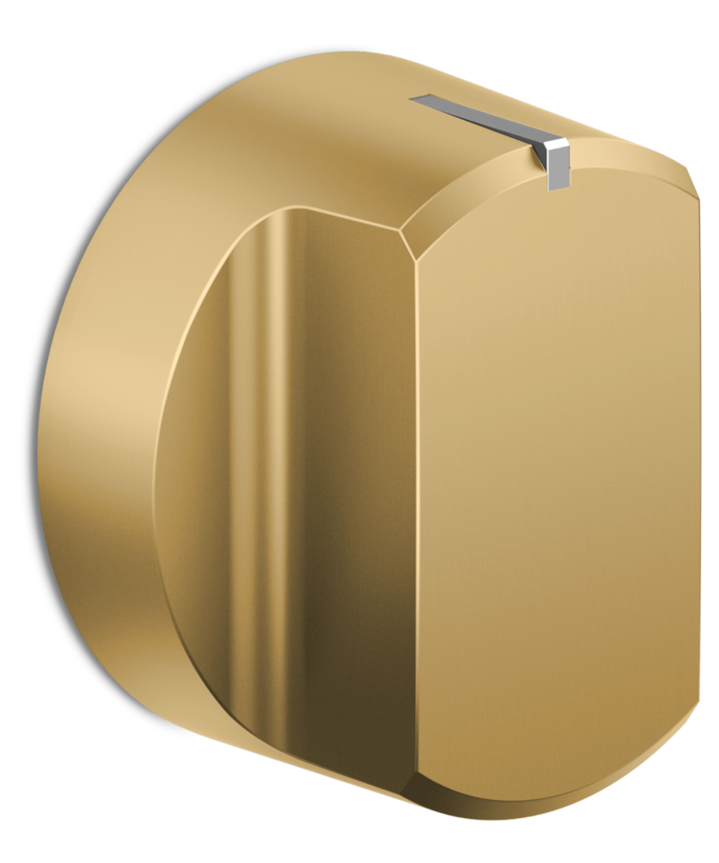 Fisher Paykel ProRange Dial Kit 48", Hybrid, Brass - Compatible with RHV3-484 Other - ADLP3RH484BA