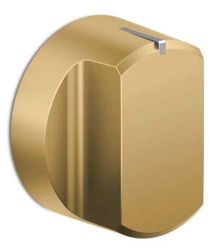 Fisher Paykel ProRange Dial Kit 48", Hybrid, Brass - Compatible with RHV3-484 Other - ADLP3RH484BA