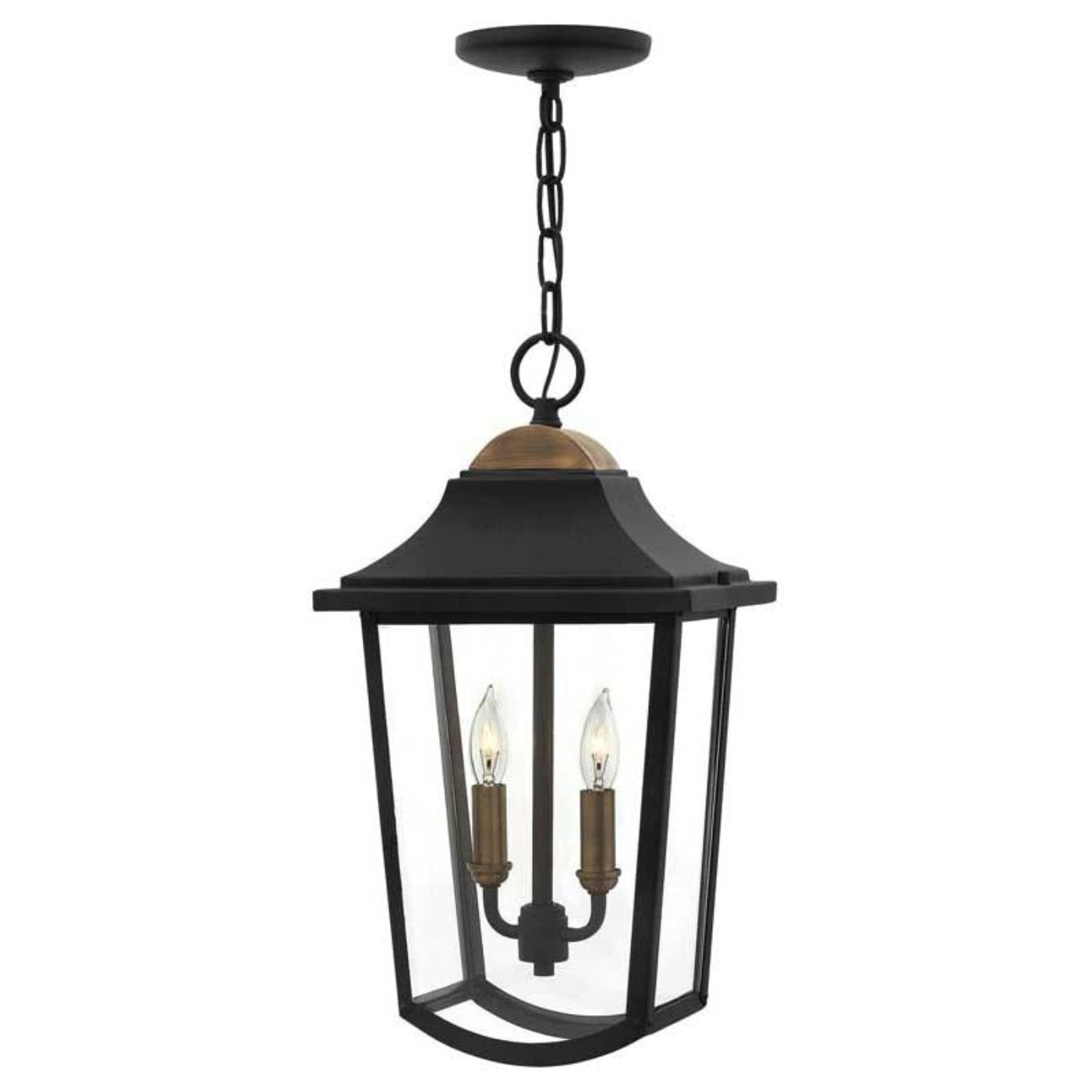 Hinkley Outdoor Burton Black Hanging Light - 1972BK