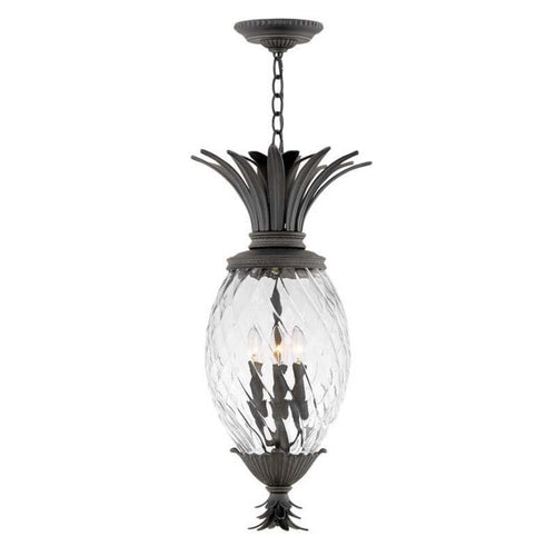 Hinkley Museum Black Outdoor Plantation Hanging Light - 2122MB