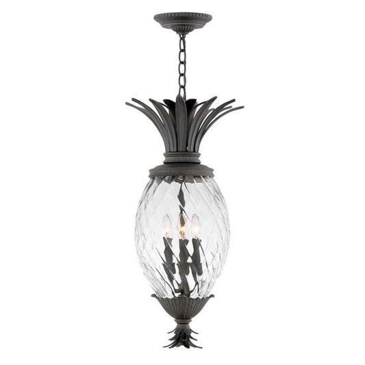 Hinkley Museum Black Outdoor Plantation Hanging Light - 2122MB