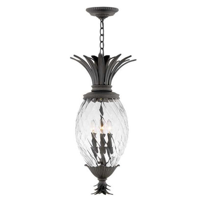 Hinkley Museum Black Outdoor Plantation Hanging Light - 2122MB