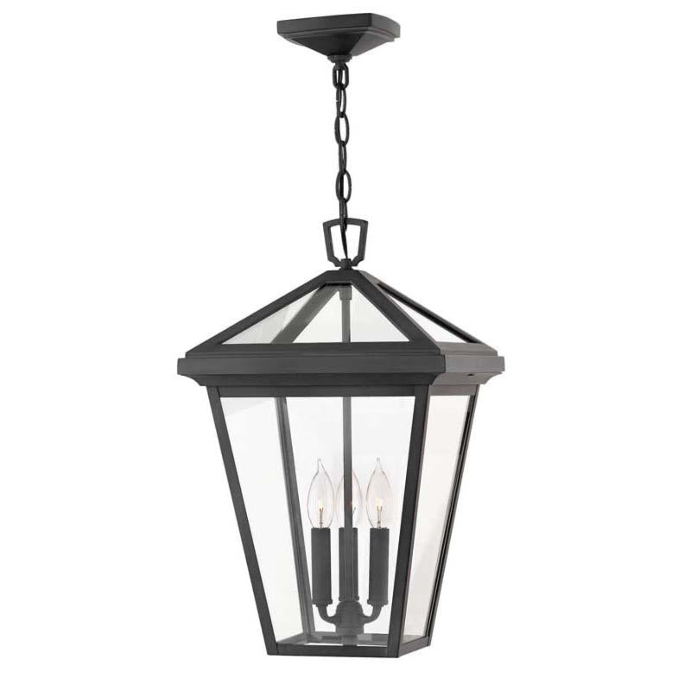 Hinkley Outdoor Alford Place Hanging Light - 2562MB