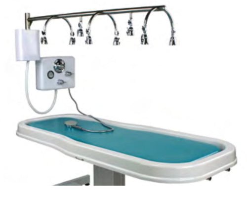 Touch America Stationary Neptune Wet Table and 8-Head Vichy Shower Deluxe Package(82030) - 82030+22003-0100
