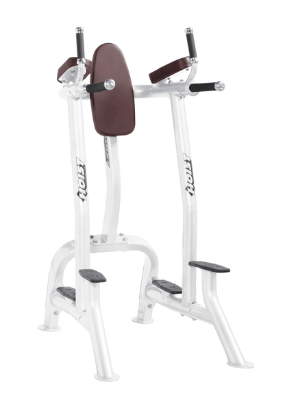 Hoist Commercial Vertical Knee Raise / Dip - CF-3252A