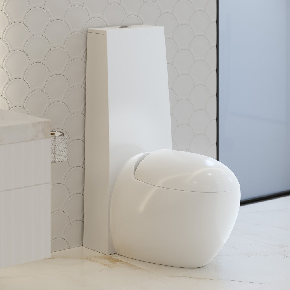 Swiss Madison Plaisir One-Piece Elongated Toilet Dual-Flush 1.1/1.6 gpf - SM-1T660