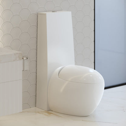 Swiss Madison Plaisir One-Piece Elongated Toilet Dual-Flush 1.1/1.6 gpf - SM-1T660