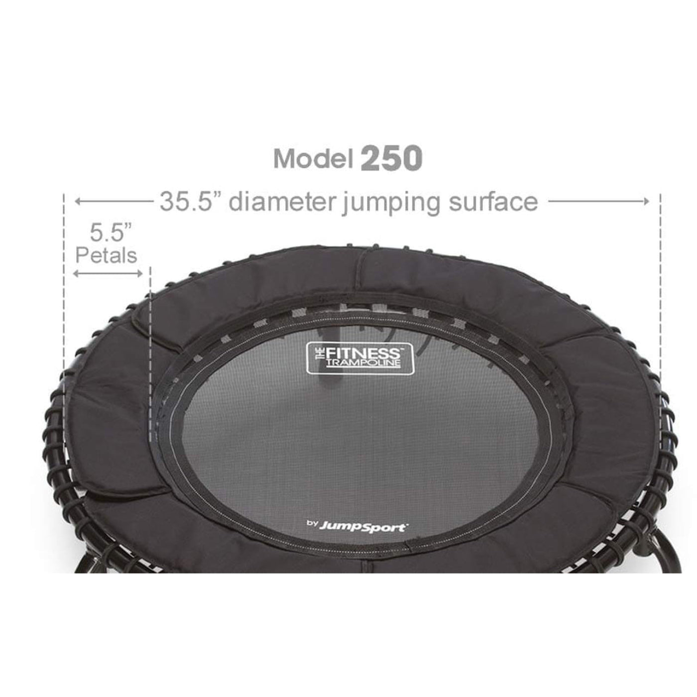Disc-O-Bed JumpSport 250 Fitness Rebounder Mini Trampoline In Home Cardio Fitness (2 Pack) - 173133