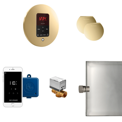 Mr. Steam Butler Max Package Round Polished Brass - MSBUTLERXRD-PB