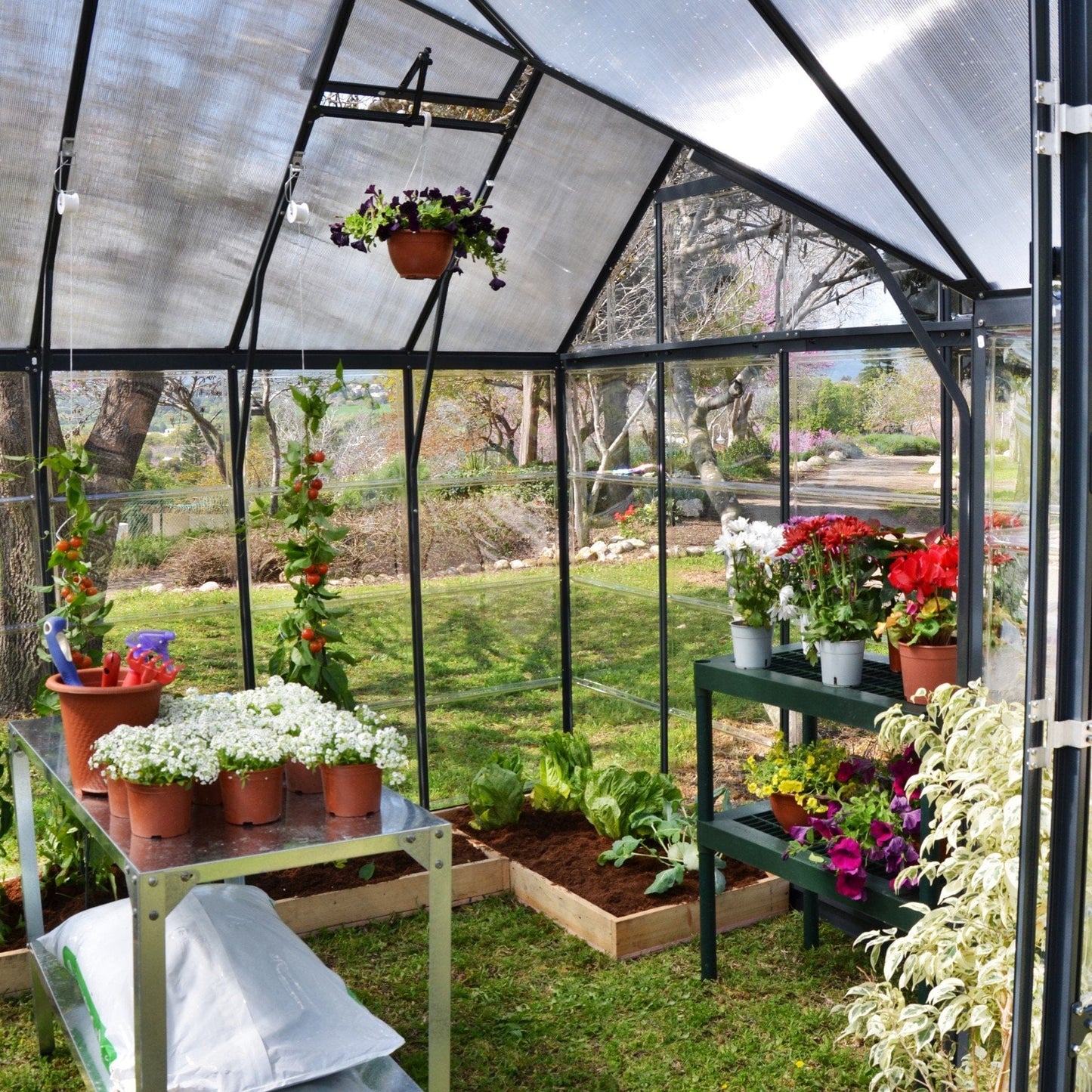 Palram - Canopia | 12x10 Ft Chalet Greenhouse Kit - Gray With 0.8mm Polycarbonate Glazing - HG5400