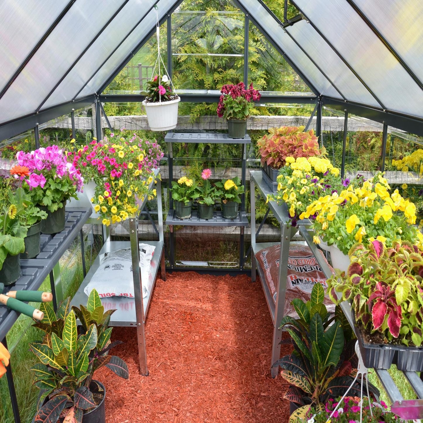Palram - Canopia | 6x10 Ft Hybrid Greenhouse Kit - Gray With 0.8mm Polycarbonate Glazing - HG5510Y