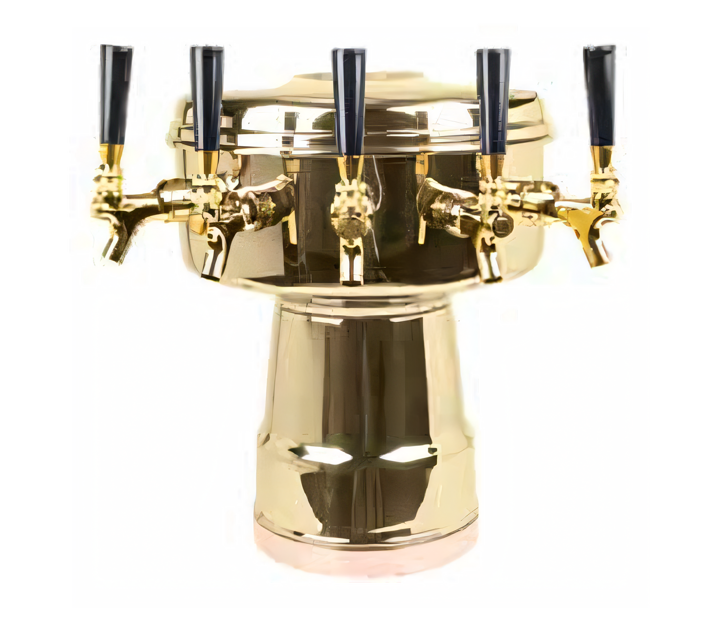 Micro Matic USA Draft Beer & Wine Dispensers - MTB-5BRKR