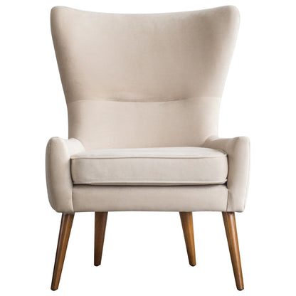 New Pacific Direct Arya Velvet Fabric Chair 1900122-346