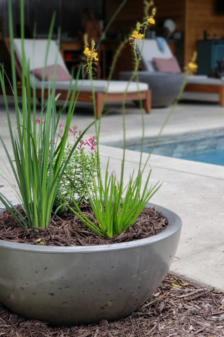 Slick Rock Classic Planter - CL4830