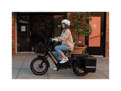 RadWagon™ 5 Electric Cargo Bike - 102-00046
