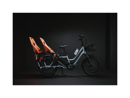 RadWagon™ 5 Electric Cargo Bike - 102-00046