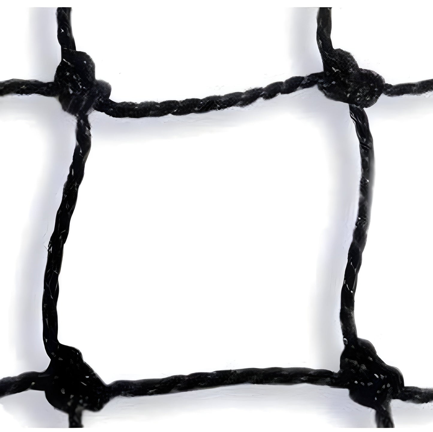 Trigon Sports International #42 Barrier Nets -  BN1450