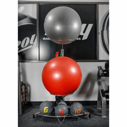 Adam Equipment Medicine Ball and Balance Ball Accessory Pack by VTX TROY - GVLAR-51 PAC